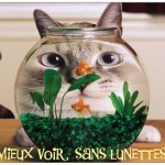 Mieux voir sans lunettes, même pour un myope!