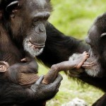 Décodage biologique: votre peau vous parle !