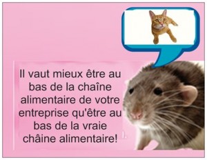 technique Tipi et stress au travail 10