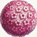 biologique et cancer de l'utérus5