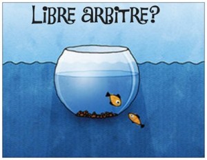 libre arbitre & ho'oponopono1