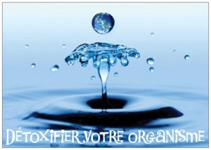 detoxifier organisme  booster metabolisme1jpeg