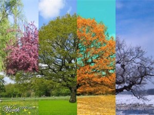 Psychologie des couleurs,réussir sa vie,